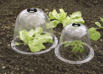 Aerated garden cloche