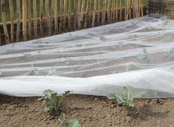 Filet de protection anti-oiseaux coloris vert 5x10 m : Protection des  cultures NORTENE jardin - botanic®