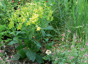 Support à planter 1/2 lune