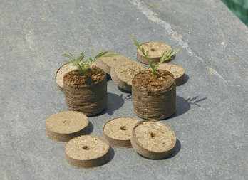 Pastilles de fibre de coco