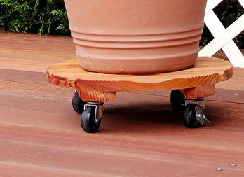 Rolling support made of solid coated wood