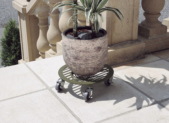 Decorative rolling support for green plants