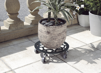 Decorative rolling support for green plants