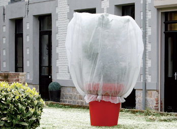 Voile d'hivernage : Hivernage des plantes AUTRES MARQUES jardin