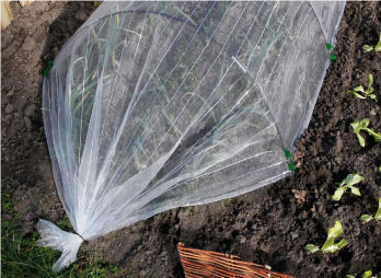 Filet de protection vert Birdnet 4x6m - Chemin des Poulaillers