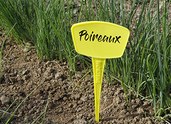 Planting label