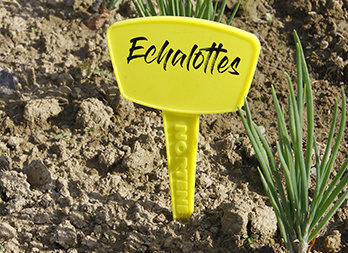 Étiquette à planter