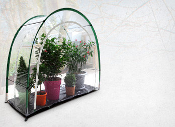 Terrace greenhouse