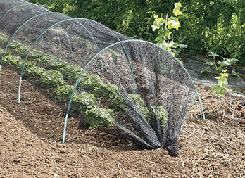 Jardin legume, filet de protection plantations, vente en ligne