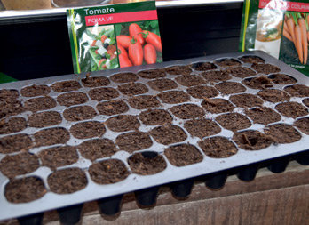 Jardin : cultiver des fruits et légumes chez soi - Châtelaine