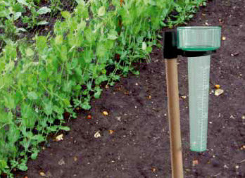 Rain gauge