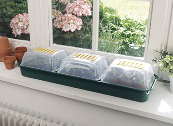 Set of 3 mini greenhouses for window with tray