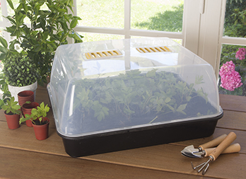 Mini greenhouse for seedlings