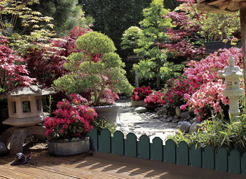 Polyethylene border - To create separate areas in the garden, making original and surprising forms, this bordure is easy to install thanks to the slots that help unify the endings between them