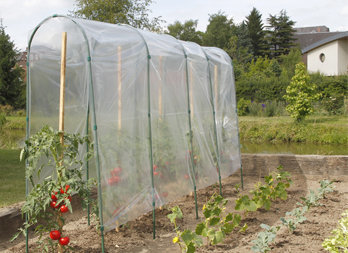 Folietunnel voor tomaten 