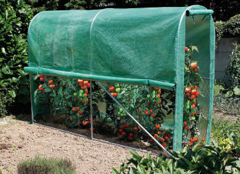 Tunnel greenhouse for kitchen gardens