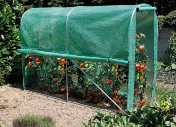 Tunnelserre voor moestuin