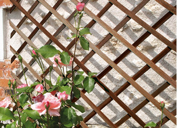 Extendable wooden trellis, to decorate a wall or trellis plants