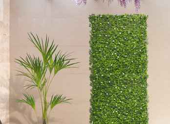A decorative green wall with jasmine flowers