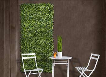 Green wall with bay leaves