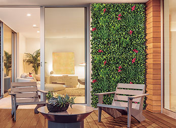 Green wall with Bougainvillea flower
