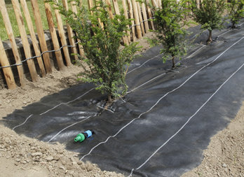 Une toile de paillage 2 en 1
