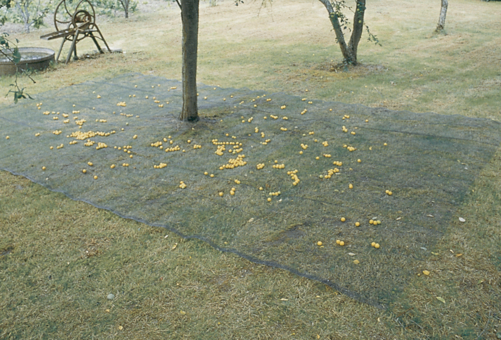 Baches de jardin ramassage taille de haies et recoltes de fruits