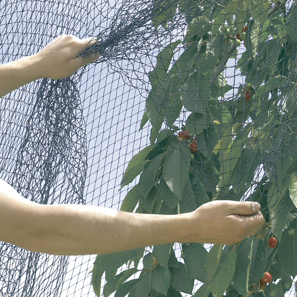 Filet de protection contre les oiseaux - semis et petits fruits