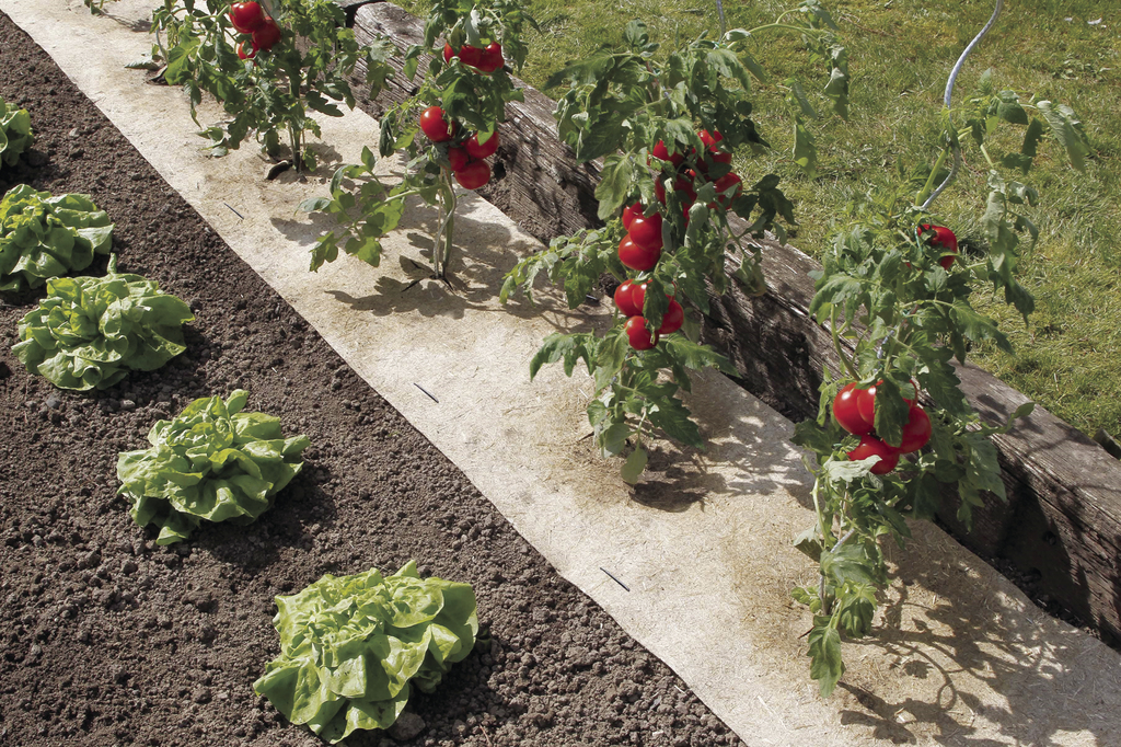 Commandez le paillage chanvre 100% naturel de Jardin et Saisons