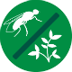 Netten tegen insecten Netten tegen insecten