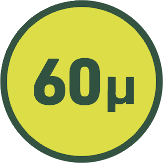 60 µ